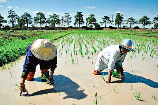 Discover Sukhothai Discover Sukhothai